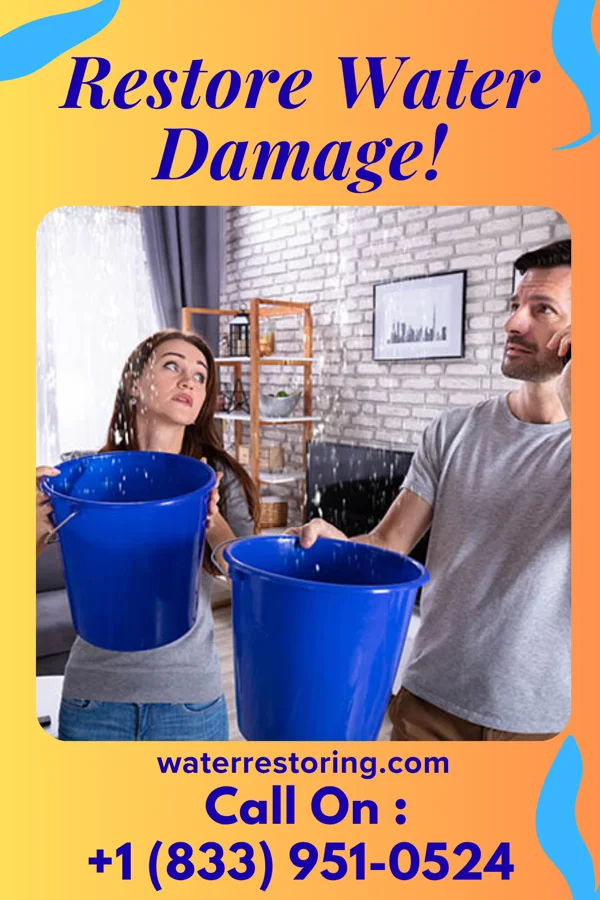water restoration Express Sewage Cleanup Specialists Kingston Mines